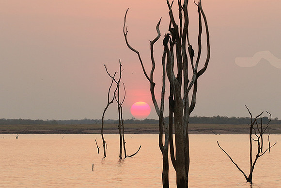 Sunset - Lake Kariba - Matusadona NP
