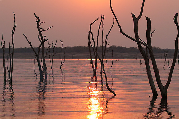 Sunset - Lake Kariba - Matusadona NP