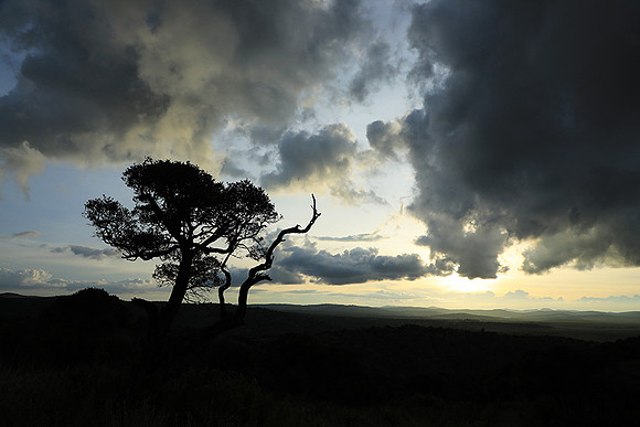 Sunset - Borana
