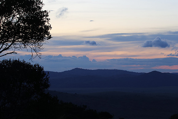 Sunset - Borana