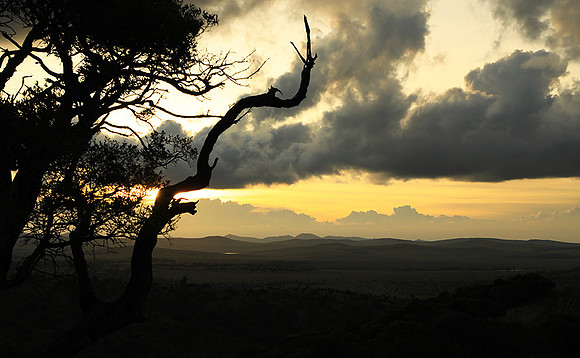 Sunset - Borana