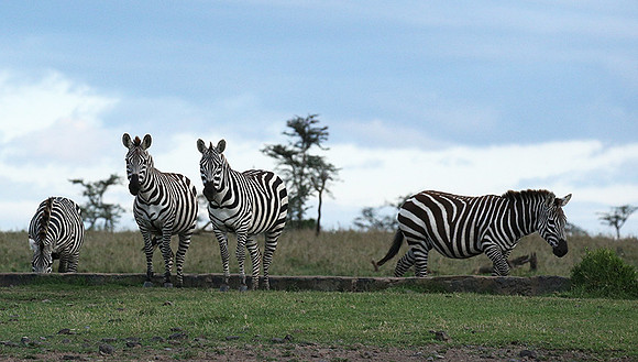 Laikipia