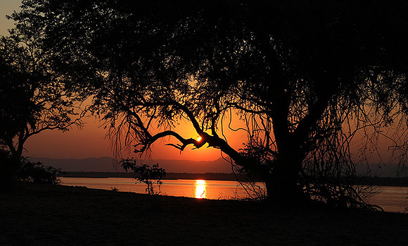 Sunset - Tembo Plains
