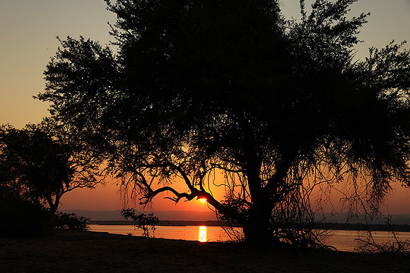 Sunset - Tembo Plains