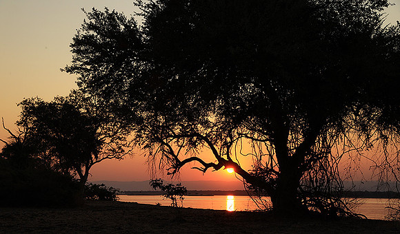 Sunset - Tembo Plains