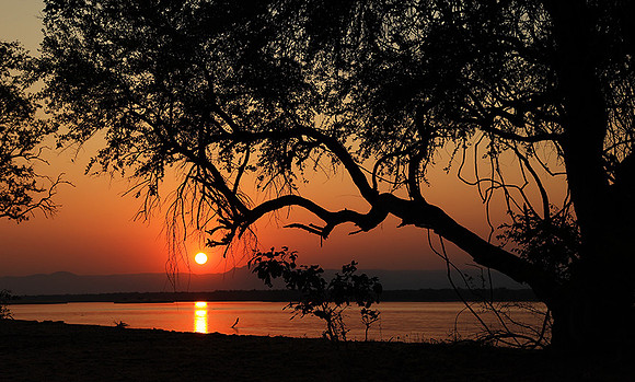 Sunset - Tembo Plains