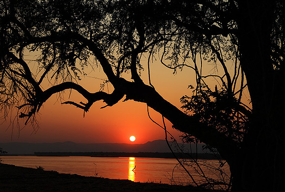 Sunset - Tembo Plains