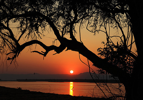 Sunset - Tembo Plains