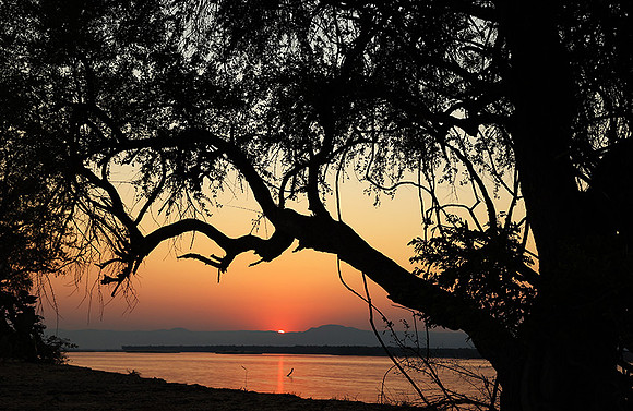 Sunset - Tembo Plains