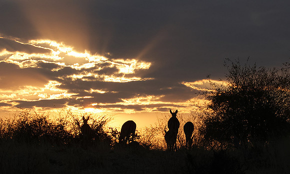 sunset - Hwange NP