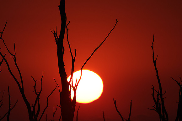Sunrise - lake Kariba