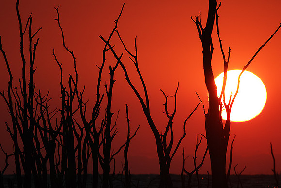 Sunrise - lake Kariba
