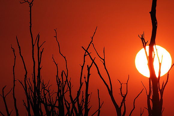 Sunrise - lake Kariba
