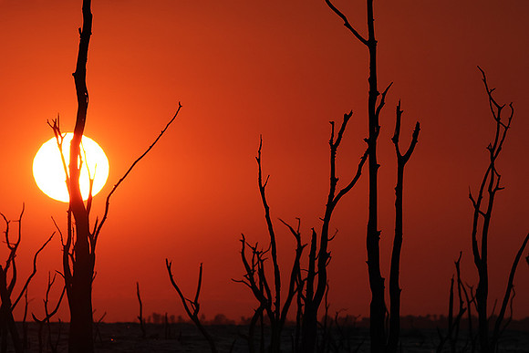 Sunrise - lake Kariba