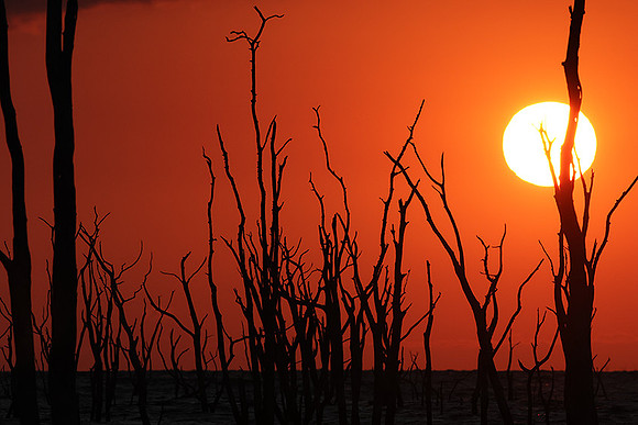 Sunrise - lake Kariba