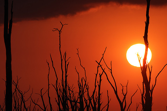 Sunrise - lake Kariba