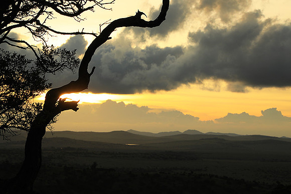 Sunset - Borana