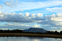 Shompole