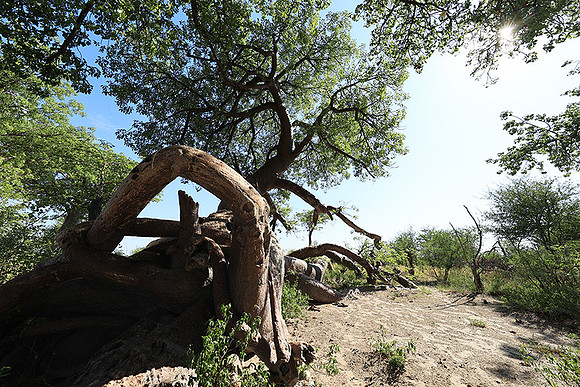 Botswana