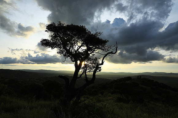 Sunset - Borana