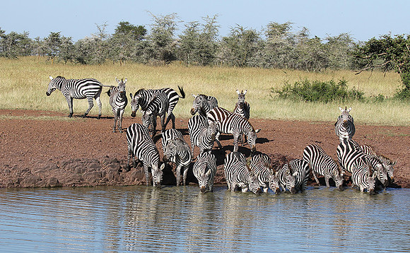 Serengeti - Grumeti Private Reserve