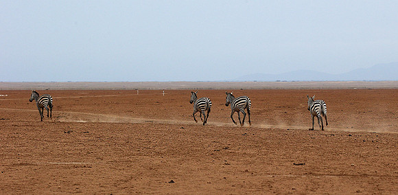 Amboseli National Park