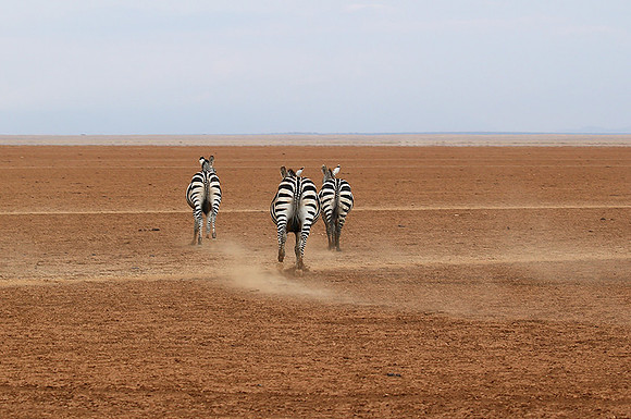 Amboseli National Park