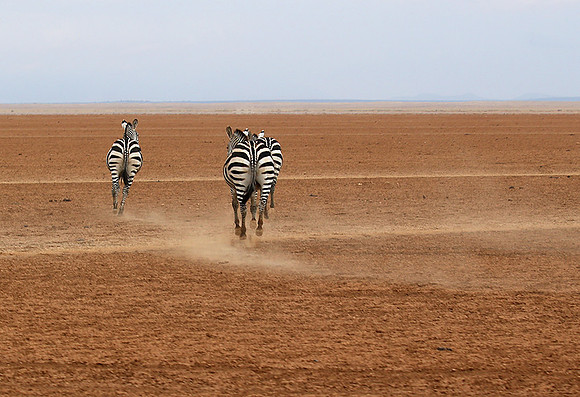 Amboseli National Park