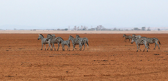 Amboseli National Park