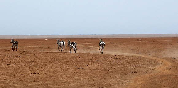 Amboseli National Park