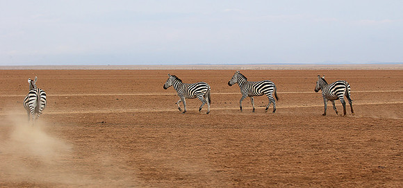 Amboseli National Park