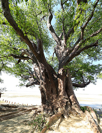 Botswana