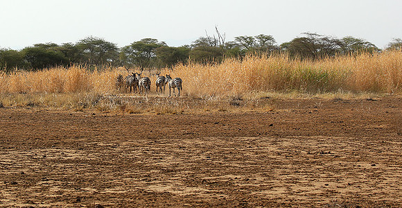 South rift valley