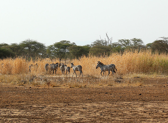 South rift valley
