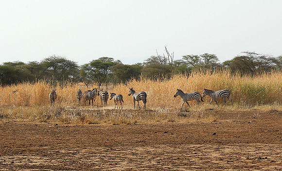 South rift valley