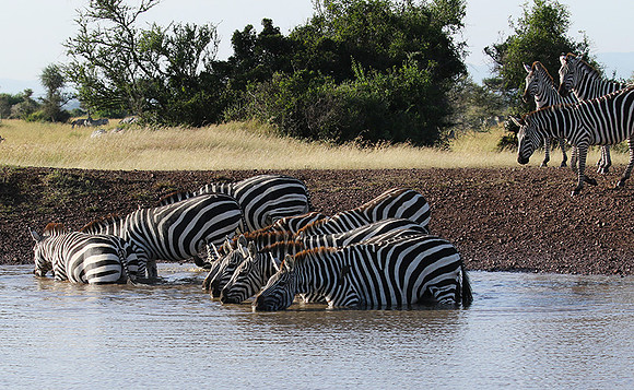 Serengeti - Grumeti Private Reserve