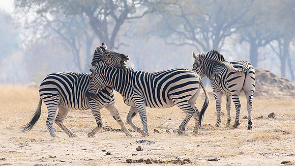Hwange National Park