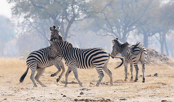 Hwange National Park