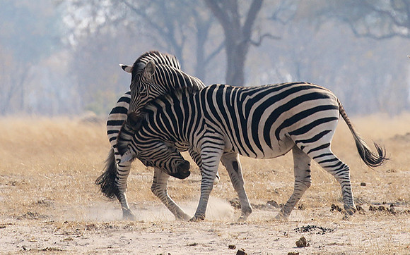 Hwange National Park