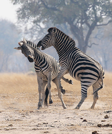 Hwange National Park