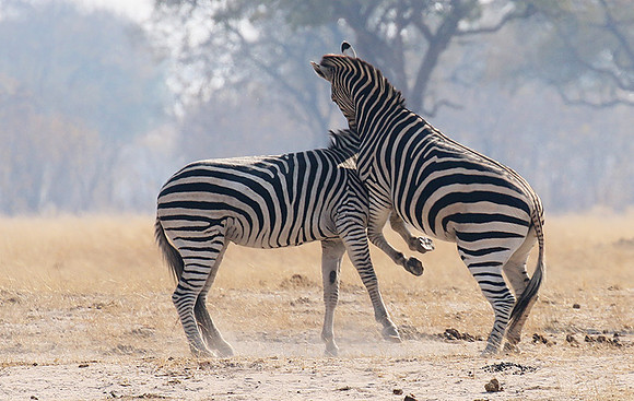 Hwange National Park