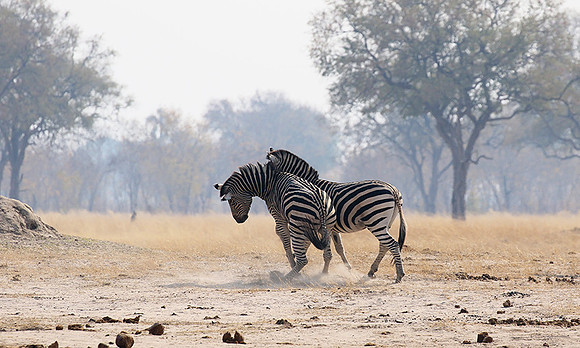 Hwange National Park