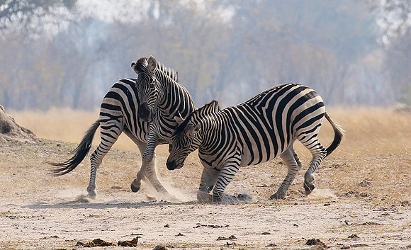 Hwange National Park