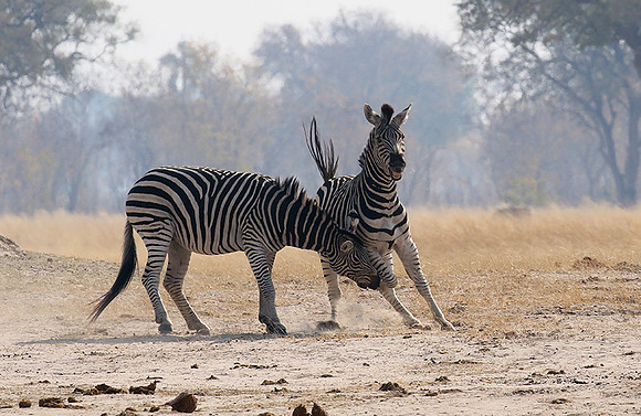 Hwange National Park