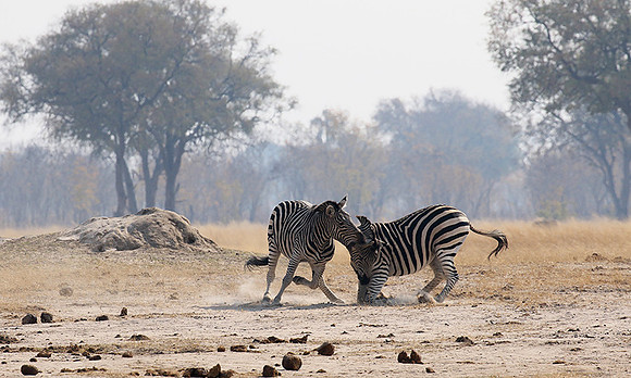 Hwange National Park