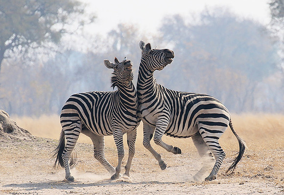 Hwange National Park