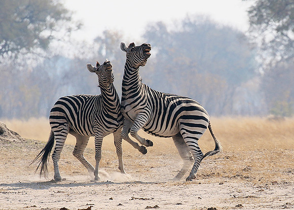 Hwange National Park