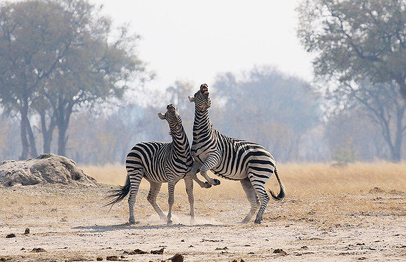 Hwange National Park