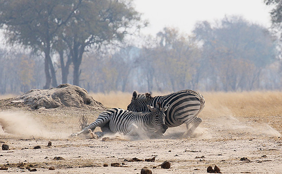 Hwange National Park