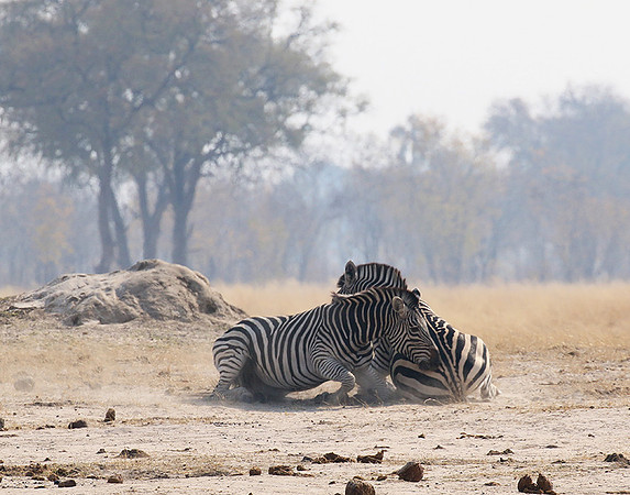 Hwange National Park